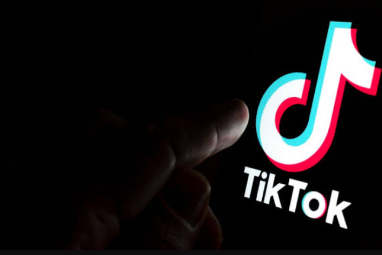 Apa Itu Trend Pohon Pepaya Viral TikTok? Link Download Full Durasi HD, Isinya Bikin Syok!