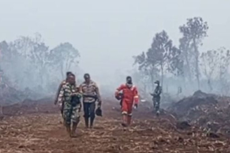 BRIN dan Polri Siap Uji Coba Metode ‘Ubi Bombing’ untuk Padamkan Karhutla Atas Arahan Presiden