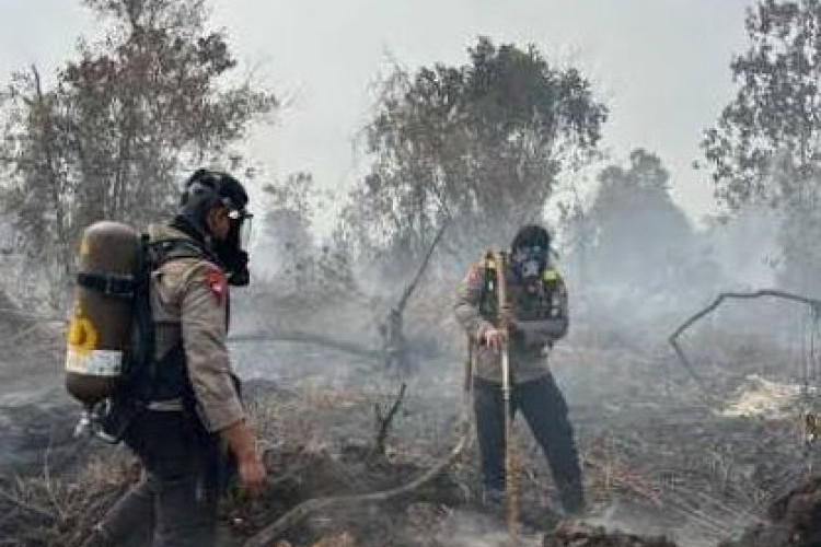 Mengenal Apa Itu Ubi Bombing, Inovasi Tepung Singkong Pemadam Karhutla yang Diuji BRIN-Polri yang Diklaim Jadi Pengganti Water Bombing