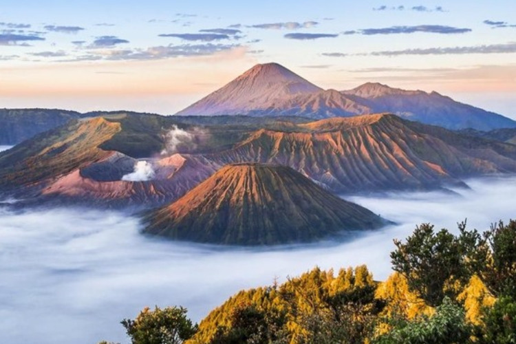 Savana Bromo Ditutup Sementara Usai Kebakaran Hutan yang Melahap 8 Hektare Lahan Dekat Probolinggo, Begini Kondisinya Terkini 