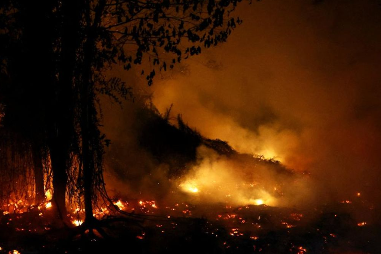 Kebakaran Hutan Kalimantan Makin Mengganas, Asap Pekat dan Ribuan Titik Panas Karhutla Terdeteksi