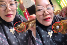 HEBOH! Temuan Peluru di MBG Bikin Geger, Nasib SPPG Berujung Disuspend 