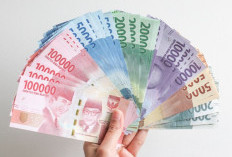 Rekomendasi Aplikasi Pinjaman Online Bunga Rendah Paling Mudah Digunakan, Aman! Sekali Klik Auto Langsung Cair