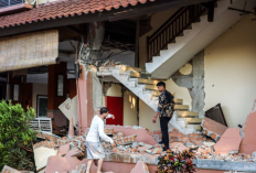 Penyebab Gempa M7,7 NTT: Aktivitas Sesar Balik Busur Belakang Flores, BMKG Sempat Himbau Siaga Tsunami