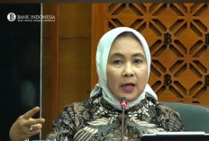 Profil dan Biodata Aida S. Budiman Calon Deputi Gubernur Senior BI, Ini Rekam Jejak Kariernya Sejak Tahun 2014